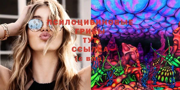mdpv Алзамай