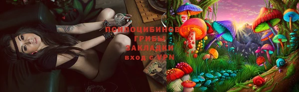 mdpv Алзамай