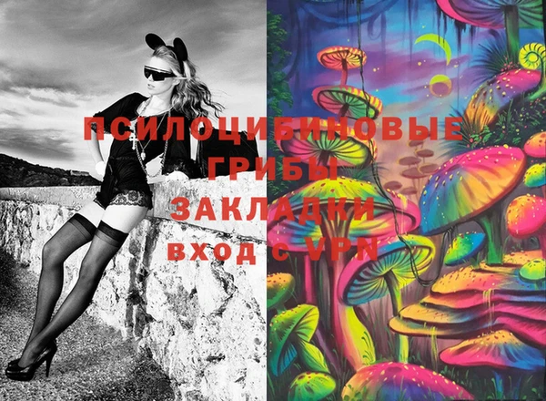 сатива Алексин