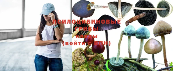mdpv Алзамай