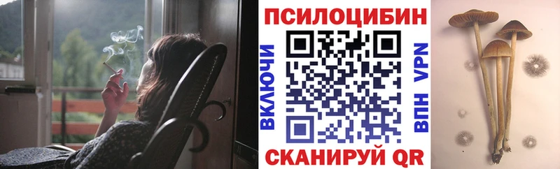 Галлюциногенные грибы мицелий  где купить   блэк спрут ссылка  Тосно 